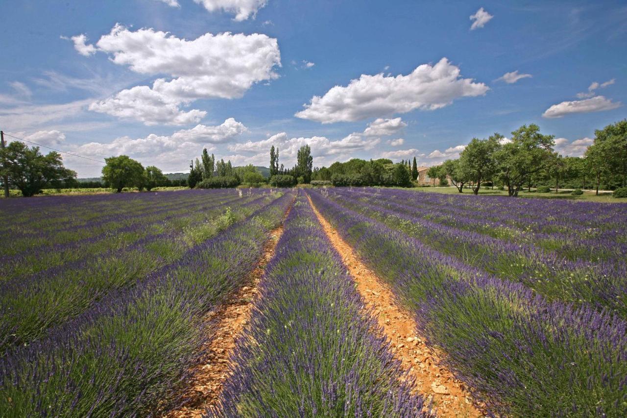 Gites Dans Mas En Pierres Robion en Luberon Exteriör bild